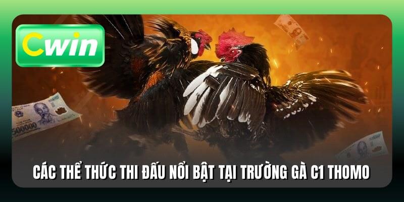 Các thể thức thi đấu nổi bật tại trường gà C1 Thomo