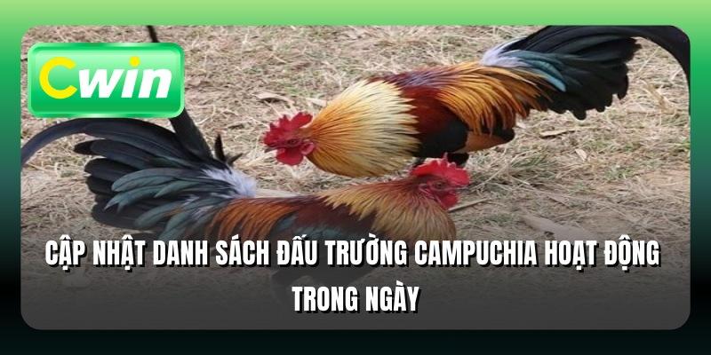 Cập nhật danh sách đấu trường Campuchia hoạt động trong ngày