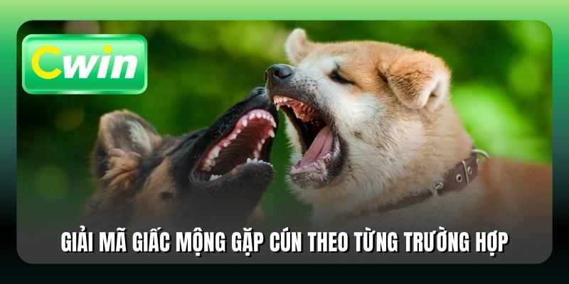 Giải mã giấc mộng gặp cún theo từng trường hợp
