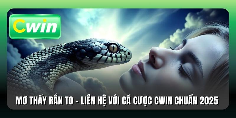 Mơ Thấy Rắn To - Liên Hệ Với Cá Cược Cwin Chuẩn 2025