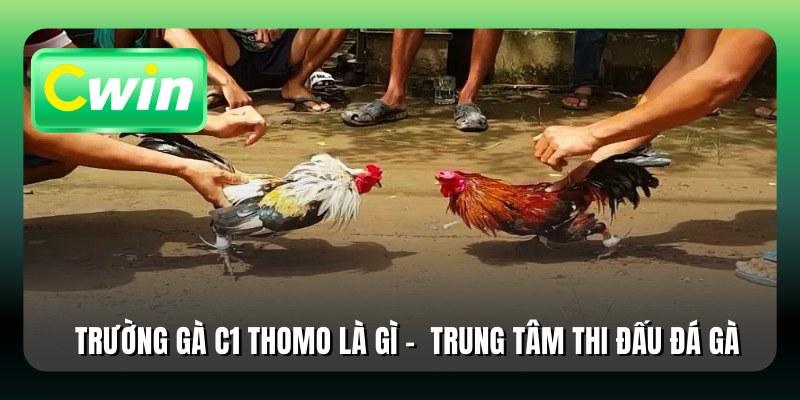 Trường Gà C1 Thomo Là Gì - Trung Tâm Thi Đấu Đá Gà